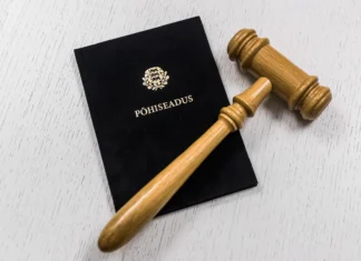 2025. aasta põhiseaduslikkuse järelevalves